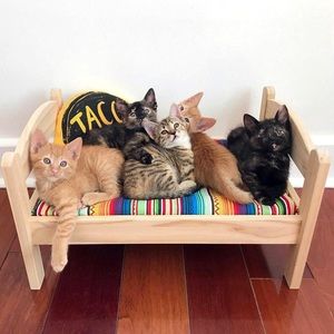 NWT IKEA DUTKIG cat pet pine wood bed +linen set